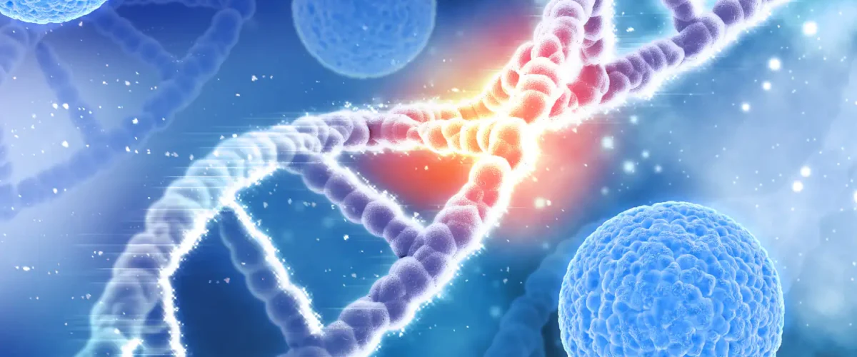 Genetik longevity serdarsavas 1200x500