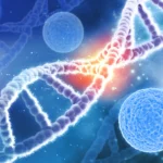 Genetik longevity serdarsavas 150x150