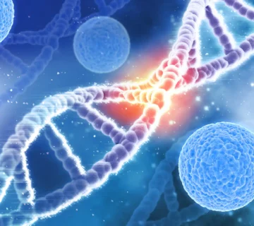 Genetik longevity serdarsavas 360x320