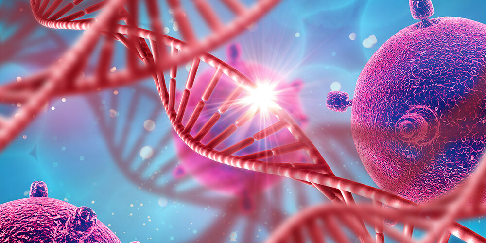 Longevity serdar gentest 2 1000x500